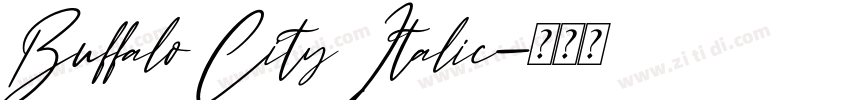 Buffalo City Italic字体转换